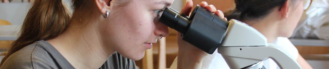 Mikroskopieren Waldorfschule Nürtingen